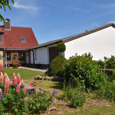 Apartment In Robertsdorf With Garden, Terrace, Barbecue Blowatz Room photo